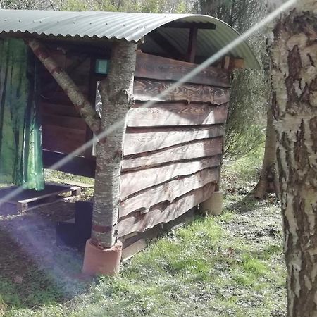 Sapphire Forest Garden Shepherd'S Hut Church Stretton Kültér fotó