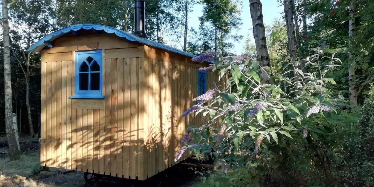 Sapphire Forest Garden Shepherd'S Hut Church Stretton Kültér fotó