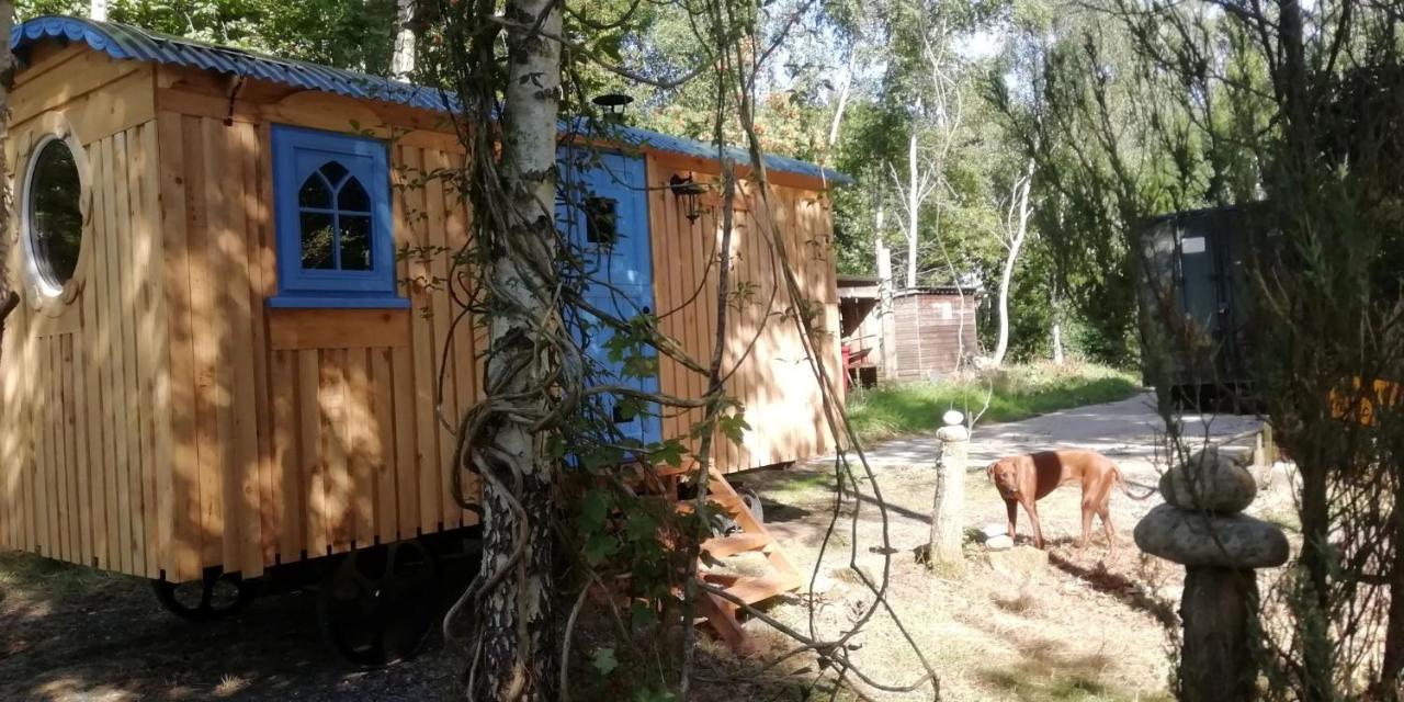 Sapphire Forest Garden Shepherd'S Hut Church Stretton Kültér fotó