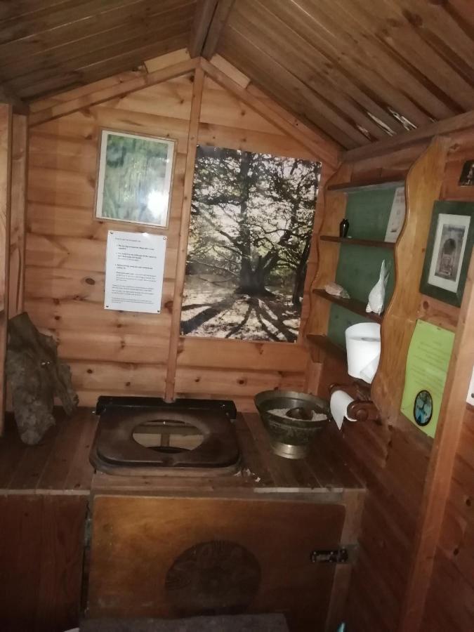 Sapphire Forest Garden Shepherd'S Hut Church Stretton Kültér fotó