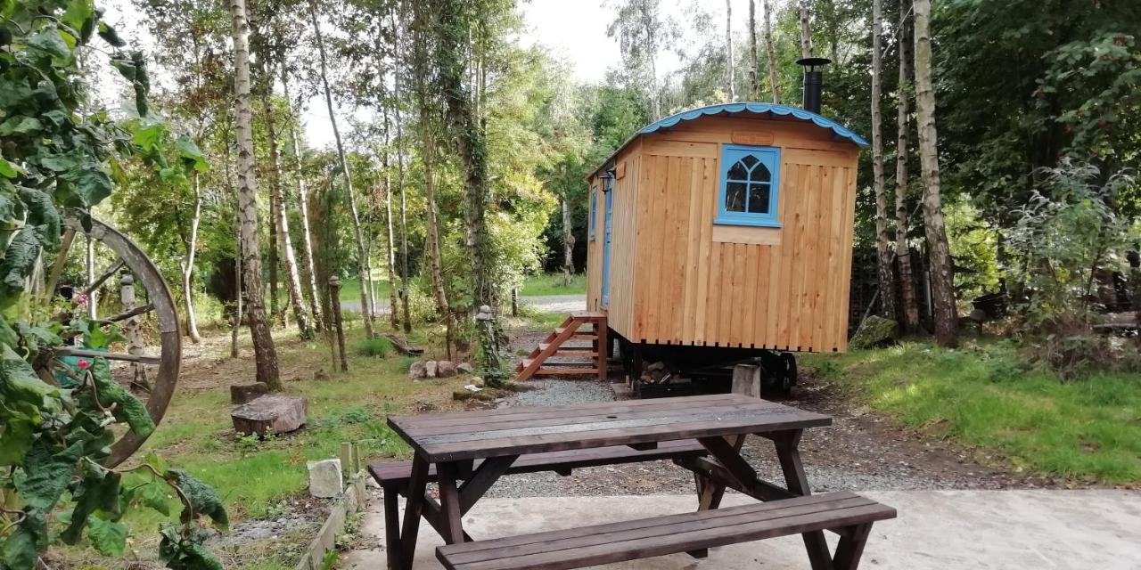 Sapphire Forest Garden Shepherd'S Hut Church Stretton Kültér fotó