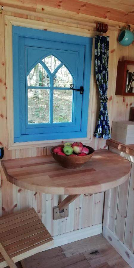 Sapphire Forest Garden Shepherd'S Hut Church Stretton Kültér fotó