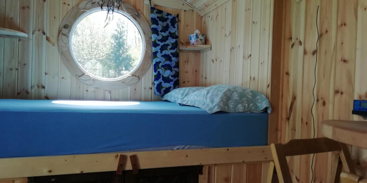 Sapphire Forest Garden Shepherd'S Hut Church Stretton Kültér fotó